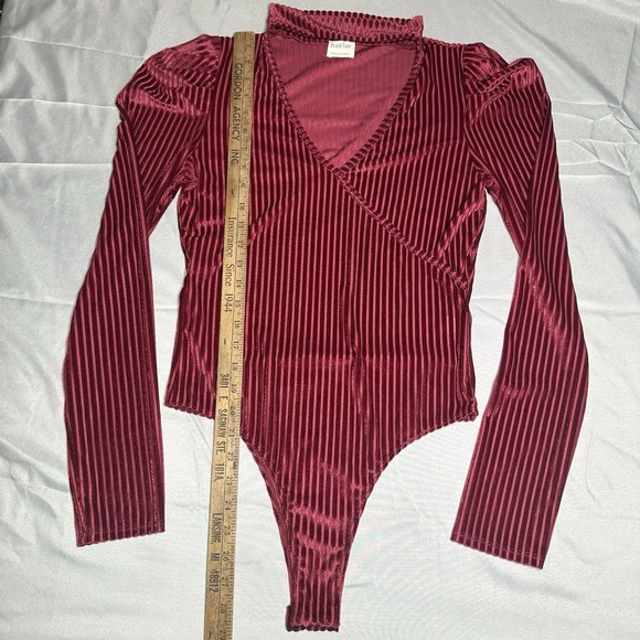Velvet Burn Out Striped Bodysuit Large Maroon Leg O Mutton Sleeve Collar Neck - Picture 2 of 10